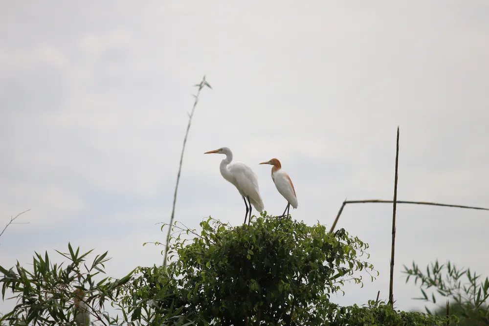 IMG_6740.JPG
