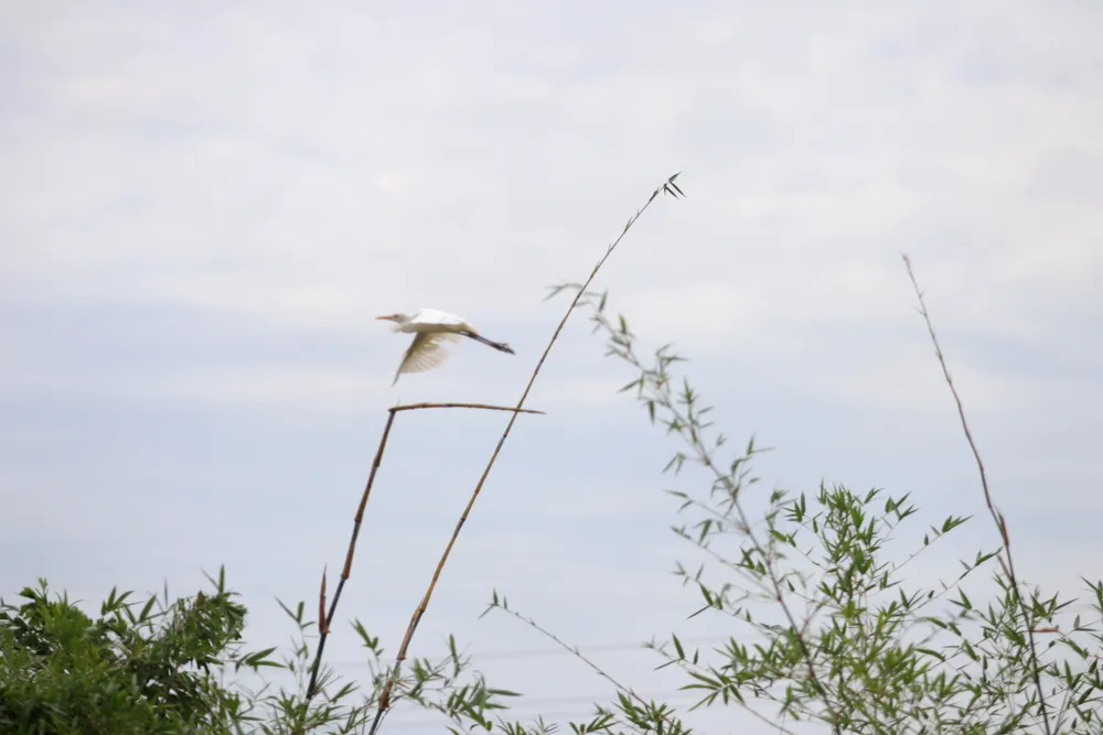 IMG_6776.JPG