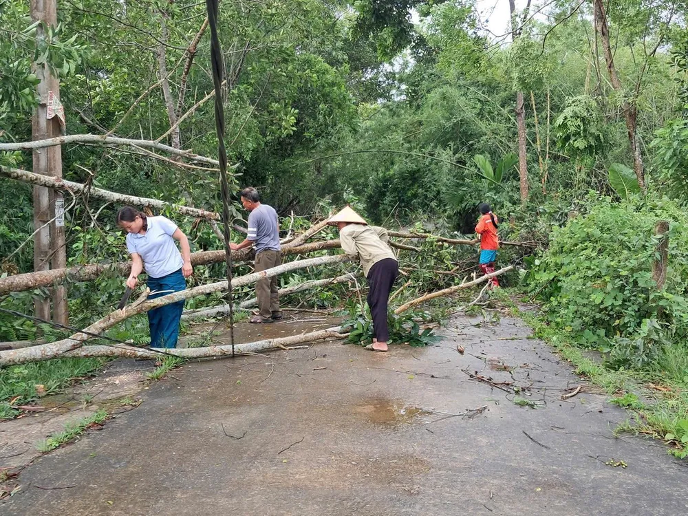 Cây đổ ngã 518126516_122115664472925493_7176436814167247557_n.jpg