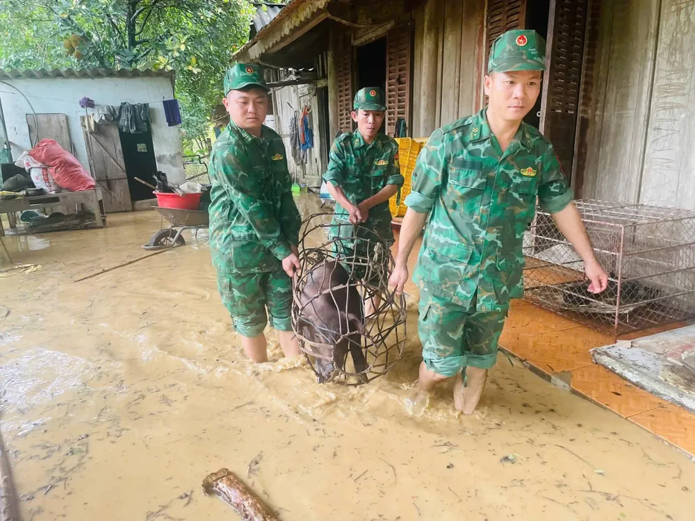 Lực lượng Bộ đội Biên phòng Nghệ An giúp dân khắc phục thiệt hại mưa lũ z6832986507760_eeedb8bc89ce98189aa11055bde70efc.jpg