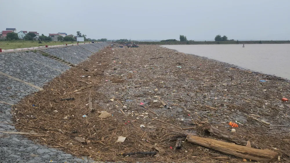 Rác, củi "bủa vây" khu neo đậu tránh trú bão tàu cá Cửa Hội - Xuân Phổ z6874932110768_64897ff7427fdaa21392f0101c5f4863.jpg