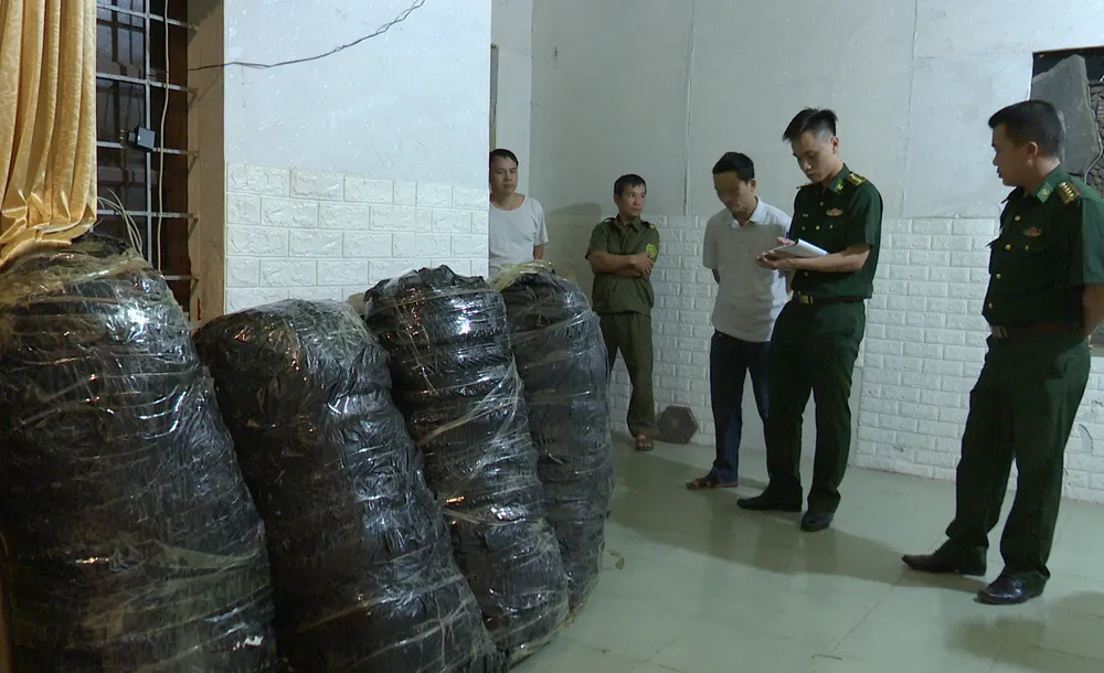 Lực lượng chức năng thu giữ thêm 125kg cần sa khô tại phòng trọ của Phạm Ngọc Duy ảnh 4.png