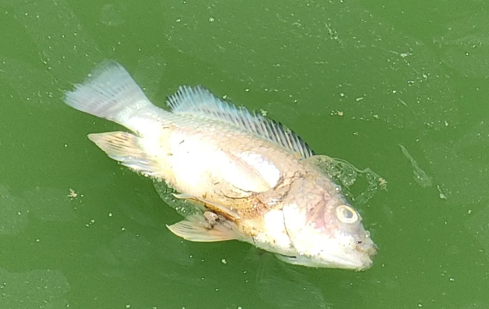 20250813_120832.jpg