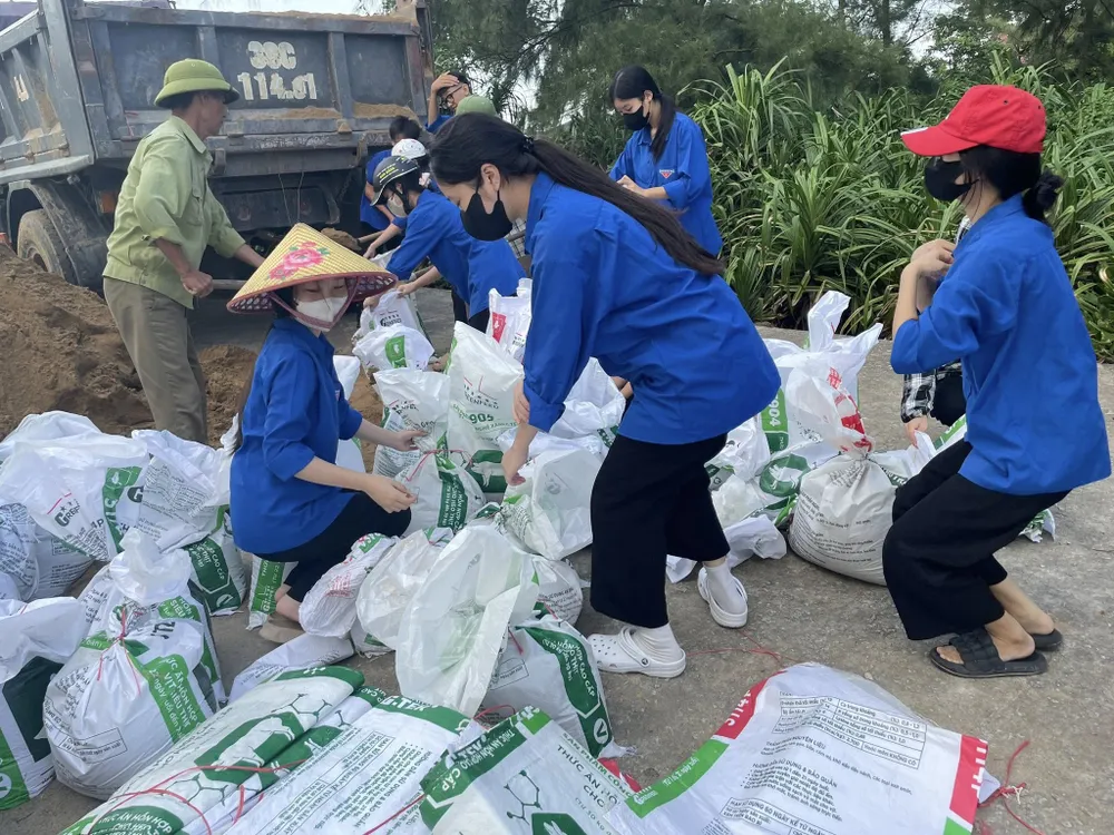 Đoàn viên thanh niên cùng các lực lượng vận chuyển bao tải cát để gia cố bờ biển 536281114_122126612582925139_3002353323552706482_n.jpg
