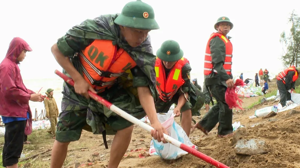 Lực lượng vũ trang và nhân dân gia cố bờ biển ở xã Đan Hải aaa.jpg