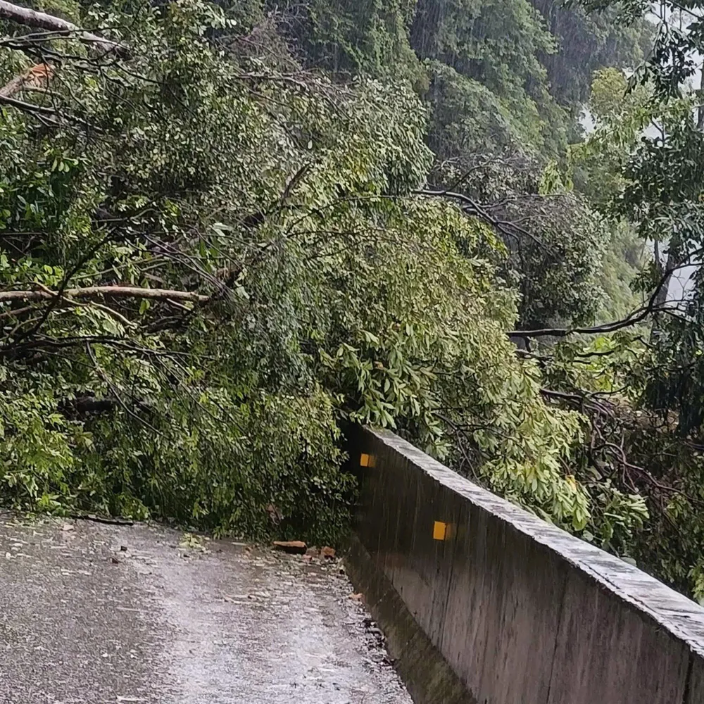 Hiện trường sạt lở 557617063_1386270896837876_5747044392085791765_n.jpg