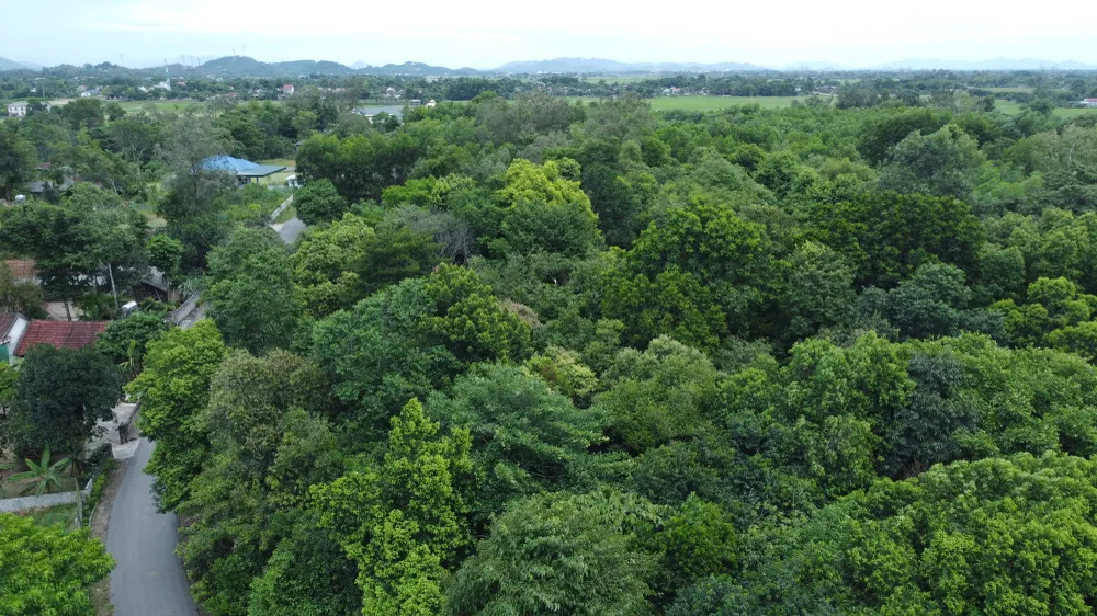 DJI_0601.JPG