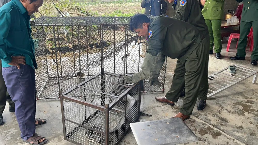 Pytona przekazano władzom, które wypuściły go na wolność. z7315332300934_3fb540ca4d0eefe2839abbee4ba80f09.jpg