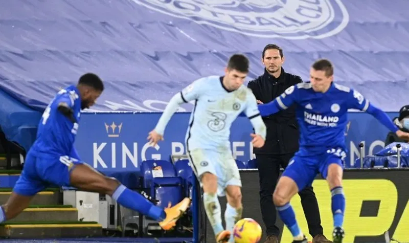 Bầy cáo xứng danh kẻ thách thức ảnh 1