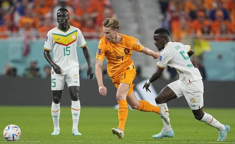 Cody Gakpo tạo khác biệt, Hà Lan chật vật giành 3 điểm ảnh 1