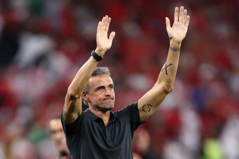 Tuyển Tây Ban Nha thay máu thượng tầng ảnh 1