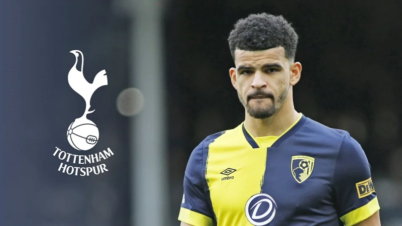 HLV Ange Postecoglou ưu tiên ký hợp đồng với một trung phong mới và Dominic Solanke là lựa chọn.