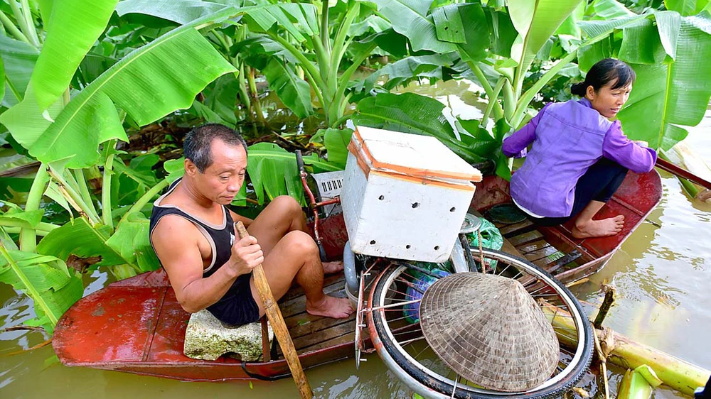 Người dân sống ở bãi giữa sông Hồng (Hà Nội) chạy lũ Ảnh: LÃ ANH