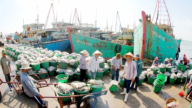 Cá đánh bắt từ biển cập bến cảng Long Hải tỉnh Bà Rịa - Vũng Tàu Ảnh: THÀNH TRÍ