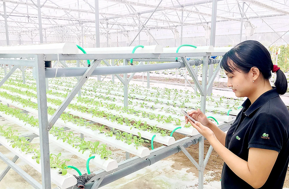 Khởi động hệ thống tưới cây tự động bằng ứng dụng Smart Agri trên điện thoại tại QTSC