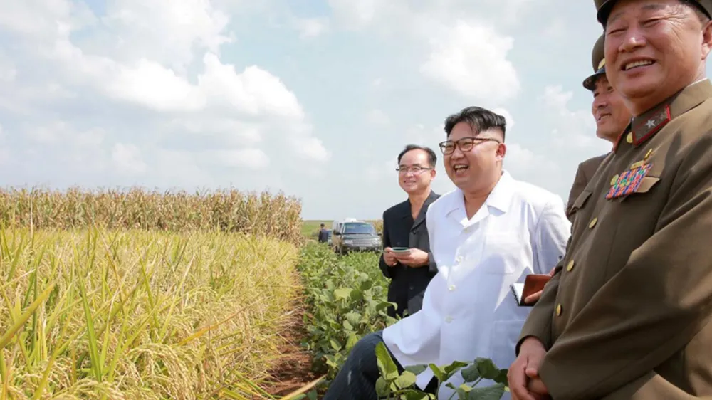 Nhà lãnh đạo Triều Tiên Kim Jong-un thăm một cánh đồng trồng lúa và hoa màu Ảnh: KCNA/REUTERS