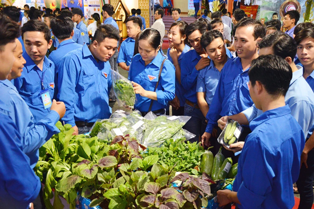 Đoàn viên thanh niên xứ dừa trao đổi kinh nghiệm khởi nghiệp, thoát nghèo Ảnh: HÀM LUÔNG