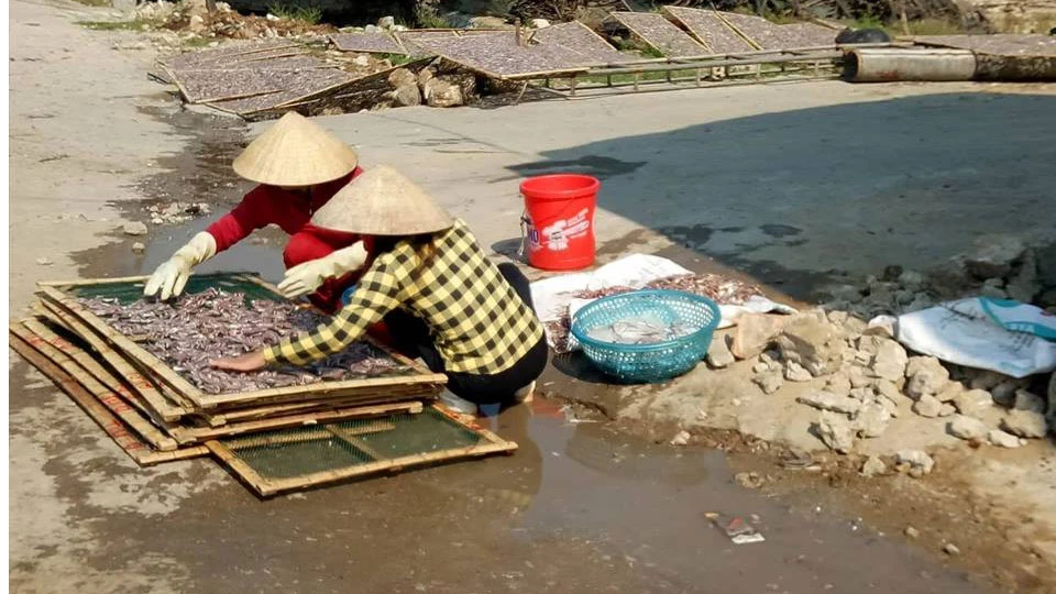 Thu mua và chế biến hải sản để nước thải chảy ra đường, gây ô nhiễm môi trường quanh cảng cá Quỳnh Lập 