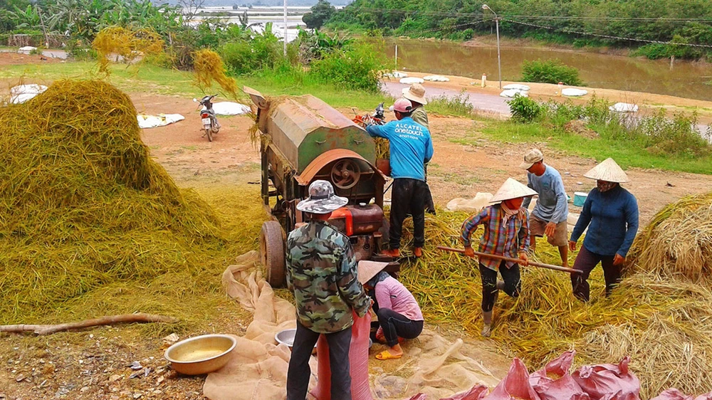 Nghị định 107 sẽ tạo điều kiện cho DN vừa và nhỏ phát triển xuất khẩu gạo