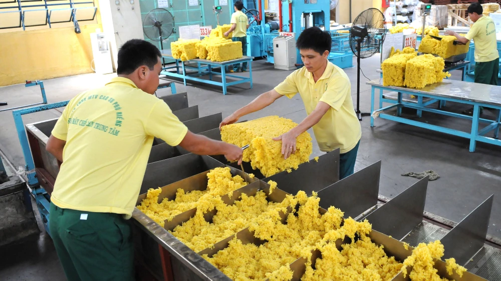 Cao su thiên nhiên, một mặt hàng xuất khẩu nhiều sang Trung Quốc. Ảnh: CAO THĂNG