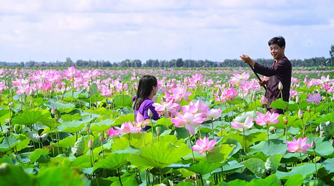 Xây dựng biểu tượng, hình ảnh địa phương