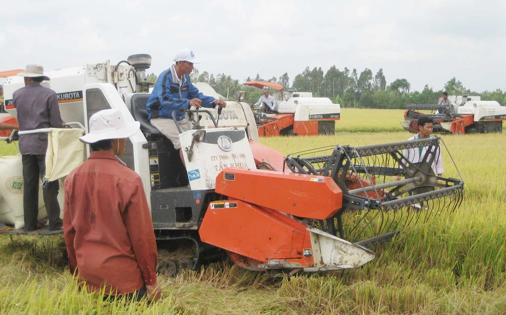 Nông dân ĐBSCL thu hoạch lúa đông xuân