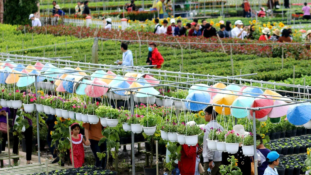 Du khách nhộn nhịp tham quan làng hoa Sa Đéc Ảnh: THÀNH TRUNG