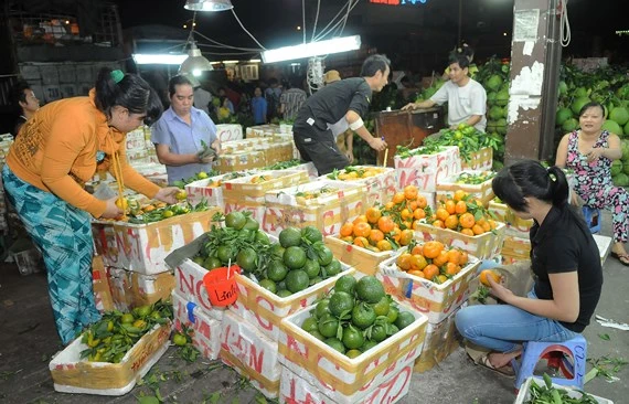 Trái cây trong nước bán tại chợ . Ảnh: THÀNH TRÍ