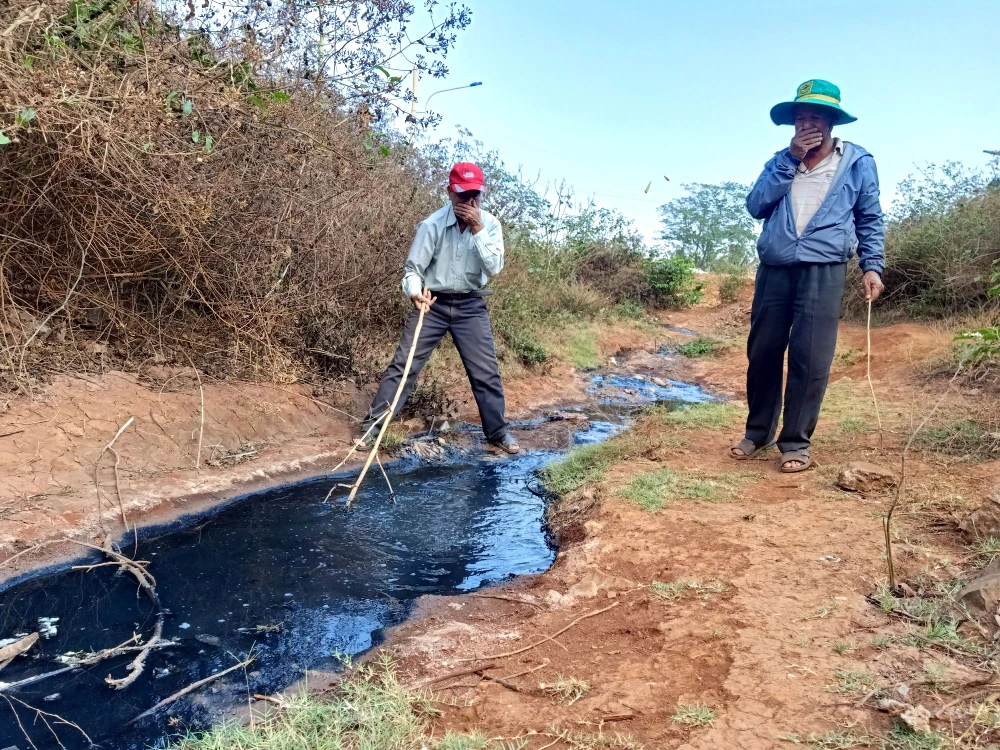 Nước thải được xả ra từ đường cống thoát nước trong CCN Tân An 