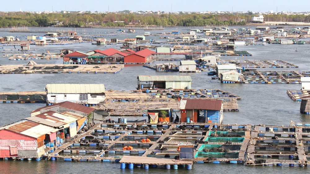 Lồng bè nuôi trồng thủy sản dày đặc trên sông Chà Và