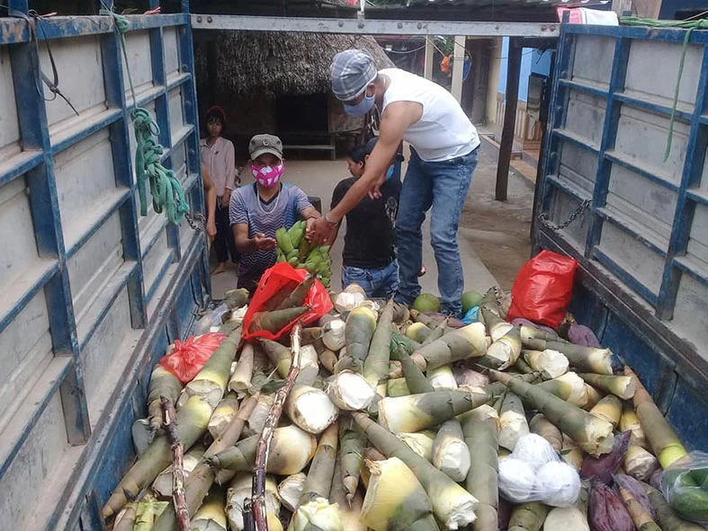 Chở ân tình về xuôi