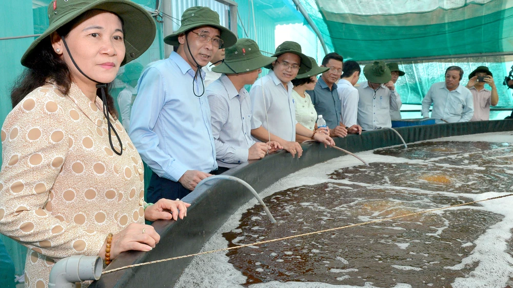 Chủ tịch HĐND TPHCM Nguyễn Thị Lệ giám sát sản xuất nông nghiệp tại huyện Cần Giờ. Ảnh: VIỆT DŨNG