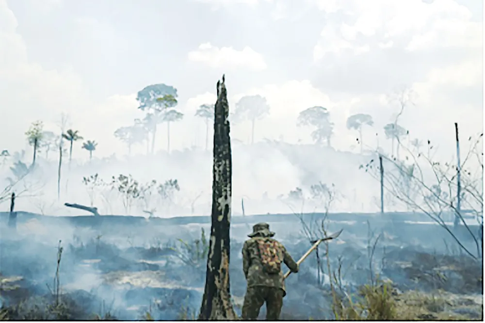 Hoạt động chữa cháy rừng ở Brazil