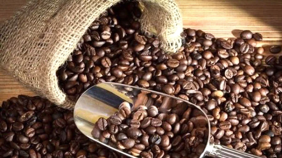 Caffeine có tác dụng chống lại khối u ác tính