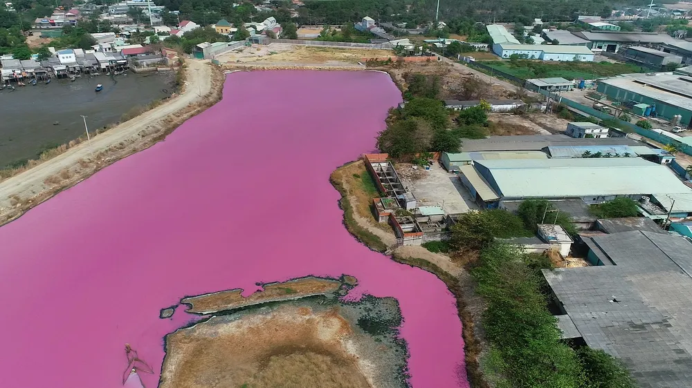Hồ chứa nước thuộc cống số 6, xã Tân Hải, thị xã Phú Mỹ (Bà Rịa - Vũng Tàu), nước hồ chuyển từ màu đen đặc sang màu tím, bốc mùi hôi thối, khó chịu. Ảnh: NGUOILAODONG