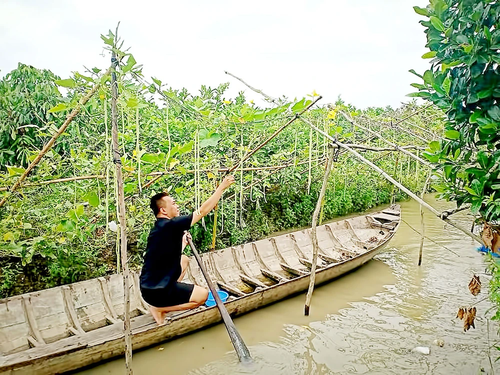 Fanpage “Tường của Má” chia sẻ ẩm thực miệt vườn chưa kiếm được tiền từ quảng cáo