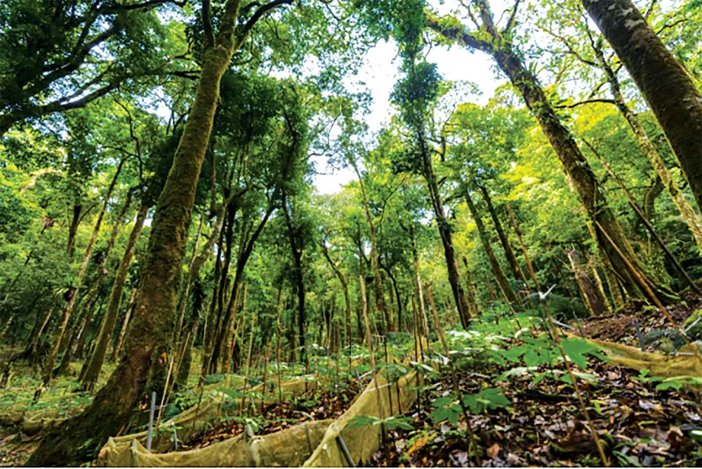 Caravan Famtrip 2022: Kết nối để đánh thức du lịch Tây Nguyên…   ảnh 4 Caravan Famtrip 2022: Kết nối để đánh thức du lịch Tây Nguyên…   ảnh 4