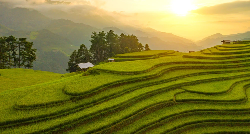 Mù Cang Chải