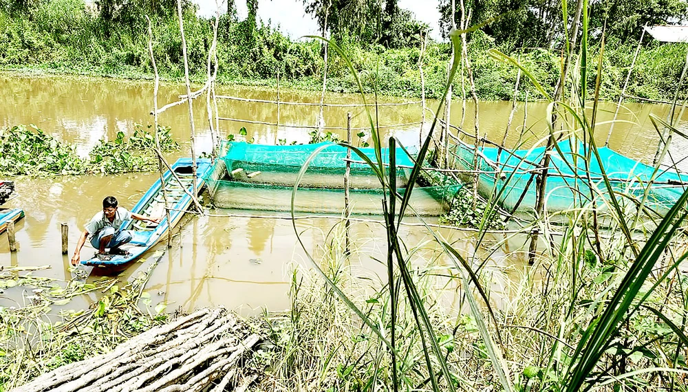 Nông dân huyện Tân Hưng (Long An) chờ lũ về để khai thác thủy sản mưu sinh. Ảnh: NGỌC PHÚC