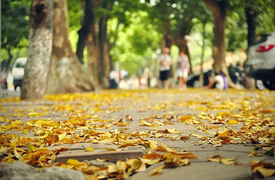 Mảnh vỡ
