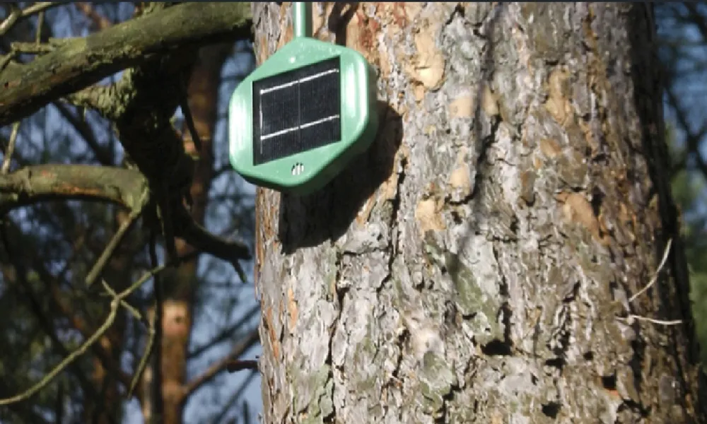 Hệ thống phát hiện cháy rừng của Dyrad