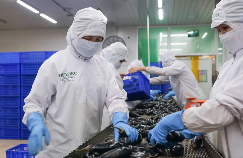 Công nhân một công ty tại TPHCM đang thao tác trên dây chuyền sản xuất thực phẩm. Ảnh: HOÀNG HÙNG