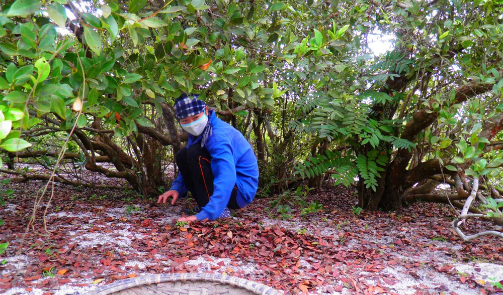 Những quy định bảo vệ trâm bầu đã được đưa vào hương ước làng gần 500 năm nên rừng cây bên bờ biển Đông được bảo vệ xuyên suốt nhiều thế hệ Những quy định bảo vệ trâm bầu đã được đưa vào hương ước làng gần 500 năm nên rừng cây bên bờ biển Đông được bảo vệ xuyên suốt nhiều thế hệ