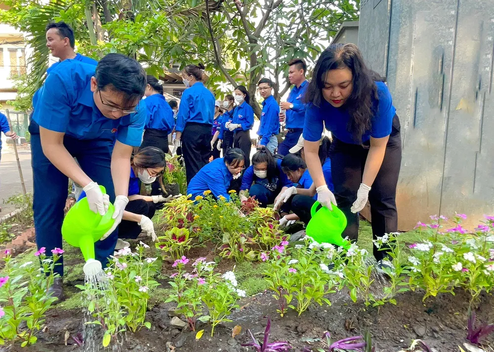 Góp sức tạo mảng xanh cho từng không gian sống Góp sức tạo mảng xanh cho từng không gian sống
