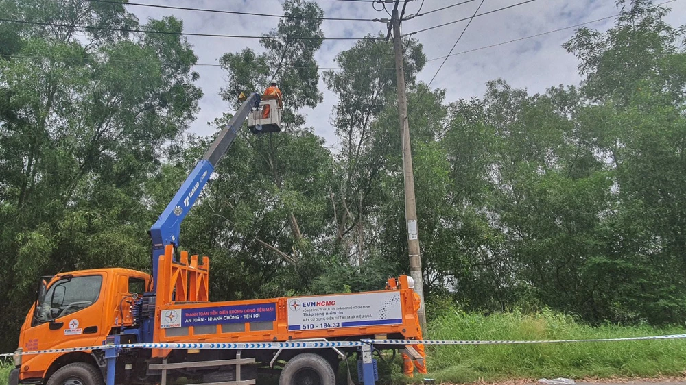 Công nhân Công ty Điện lực Củ Chi, TPHCM thực hiện mé nhánh cây xanh ảnh hưởng hành lang lưới điện