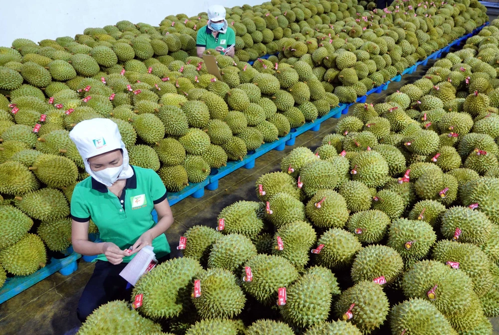 Xây dựng thương hiệu xuất khẩu, doanh nghiệp phải 'đi bằng 2 chân'