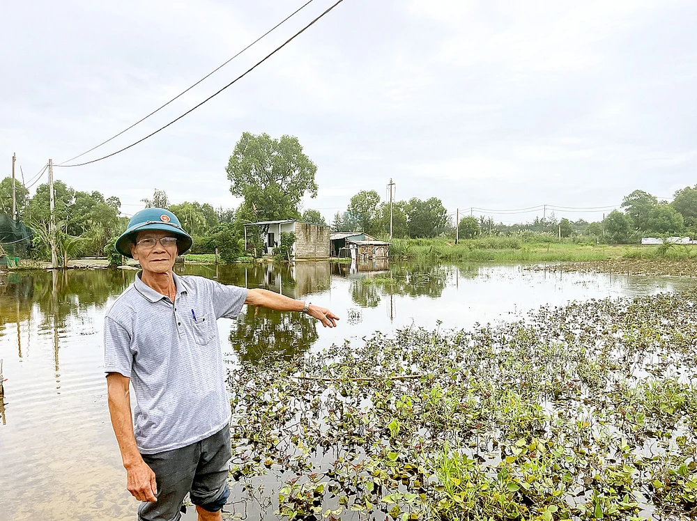 Quảng Bình: Nhiều diện tích rau, hoa bị ngập úng