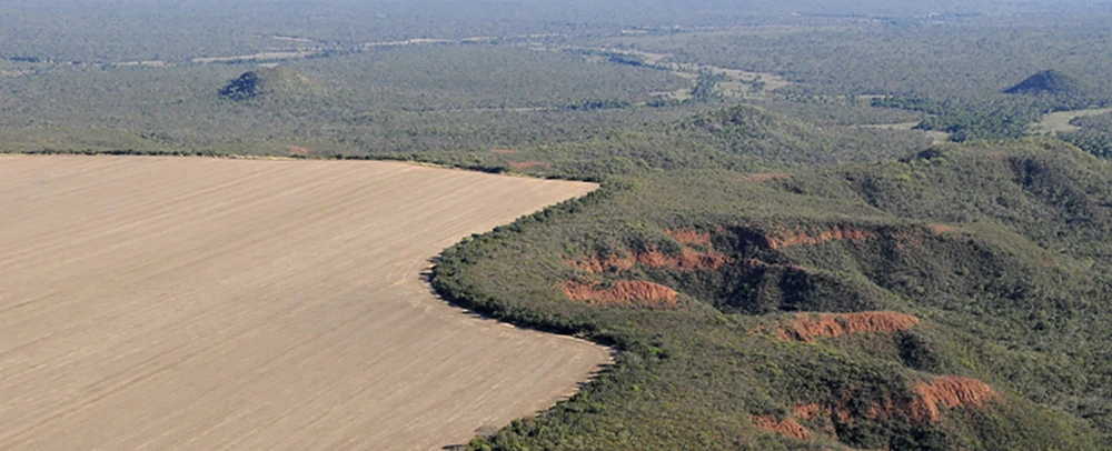 Một trong những thảo nguyên rộng lớn của vùng Cerrado (Brazil) đang bị sa mạc hóa. Ảnh: WWF