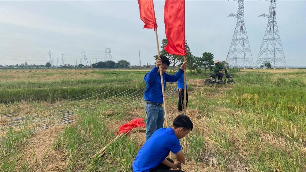 Thanh niên tình nguyện tham gia hỗ trợ dự án đường dây 500kV mạch 3