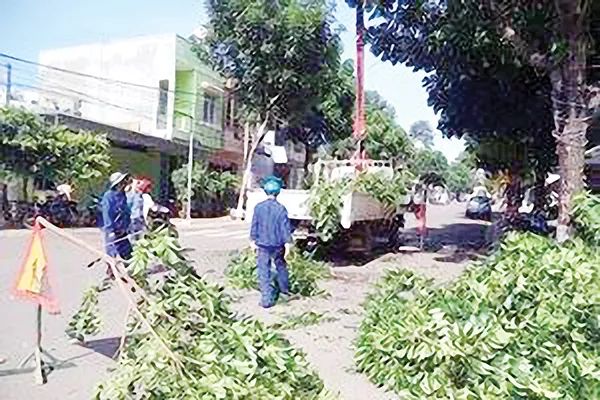 Công ty CP Công trình đô thị Gia Lai Đổi mới để phát triển ảnh 3 Công ty CP Công trình đô thị Gia Lai Đổi mới để phát triển ảnh 3